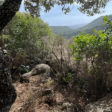 Сasa de vacaciones Maison De Dans Village Authentique Corse