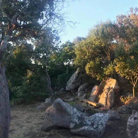 Maison De Dans Village Authentique Corse * Bonifacio (Corsica)