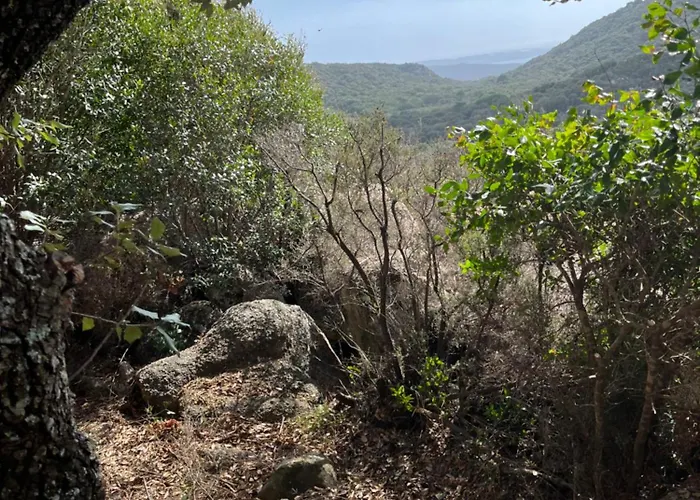 Hébergement de vacances Maison De Dans Village Authentique Corse