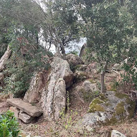 Maison De Dans Village Authentique Corse * Бонифачо