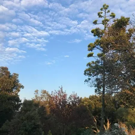 Maison De Dans Village Authentique Corse Σπίτι διακοπών *