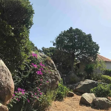 Maison De Dans Village Authentique Corse *