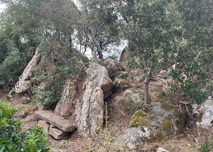 Maison De Dans Village Authentique Corse * Bonifacio (Corsica)