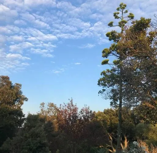 Maison De Dans Village Authentique Corse Casa de Férias *