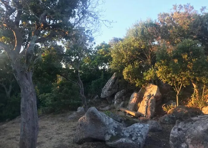 Maison De Dans Village Authentique Corse * Bonifacio (Corsica)