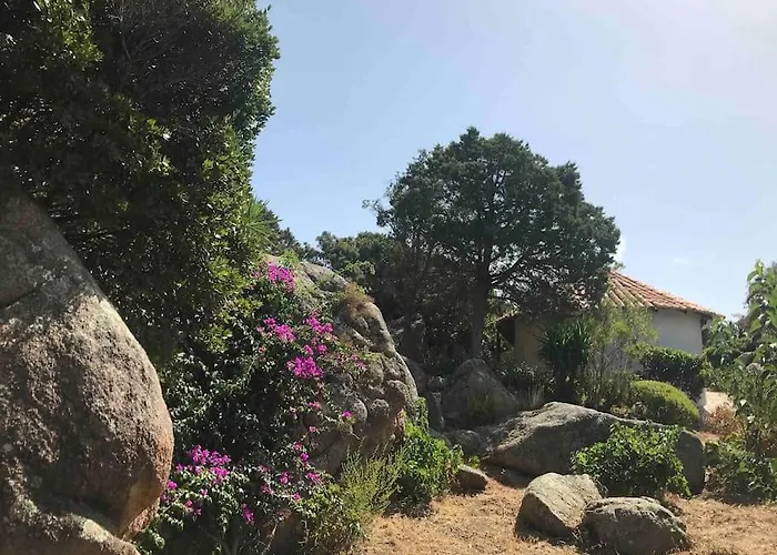 Maison De Dans Village Authentique Corse *